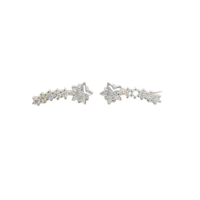 PENDIENTES TREPADORES