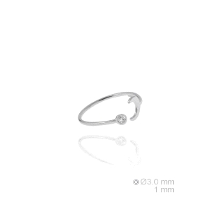 ANILLO PLATA DE LEY                                                   