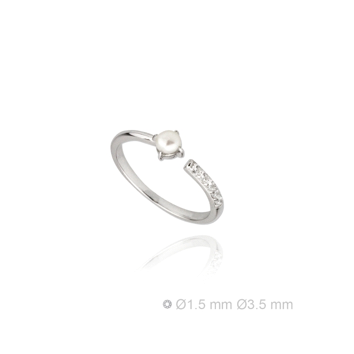 ANILLO CIRCONITAS